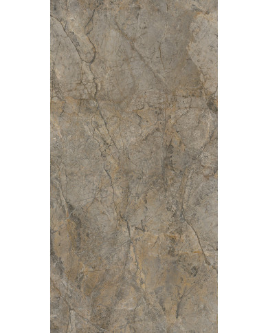 #22428 rocko_wall_R104-pion_Rainforest_Brown_R104_PT