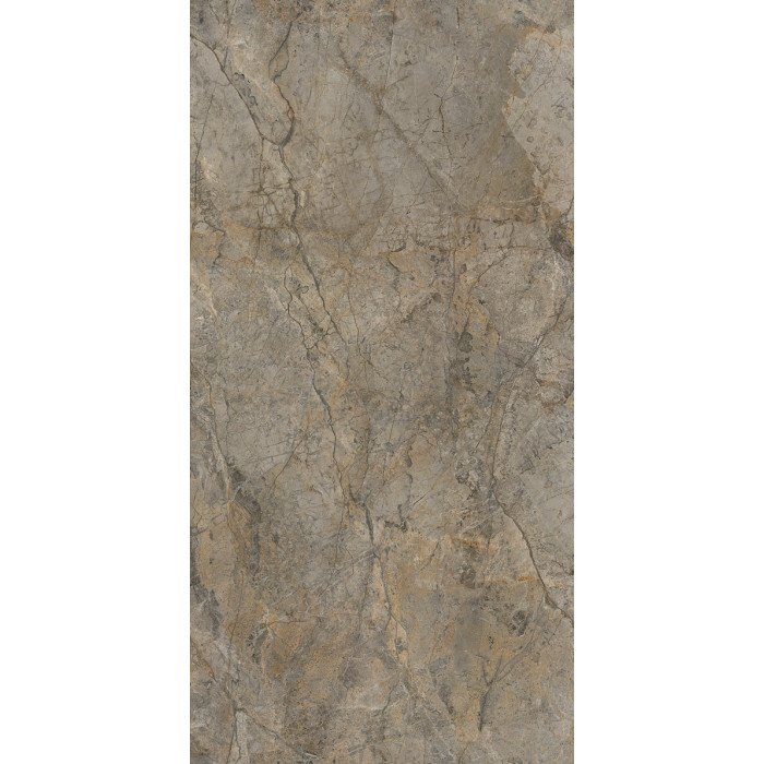 #22428 rocko_wall_R104-pion_Rainforest_Brown_R104_PT