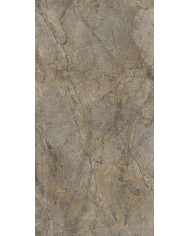 #22428 rocko_wall_R104-pion_Rainforest_Brown_R104_PT