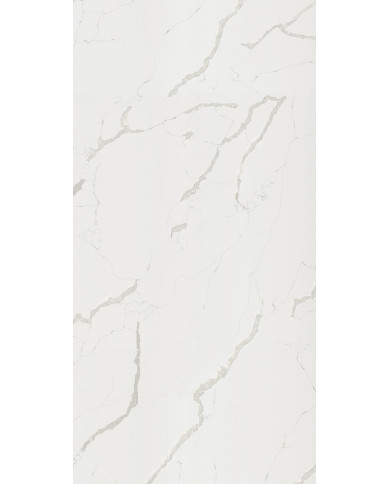 #22432 rocko_wall-R101-pion_Statuario_R101_PT