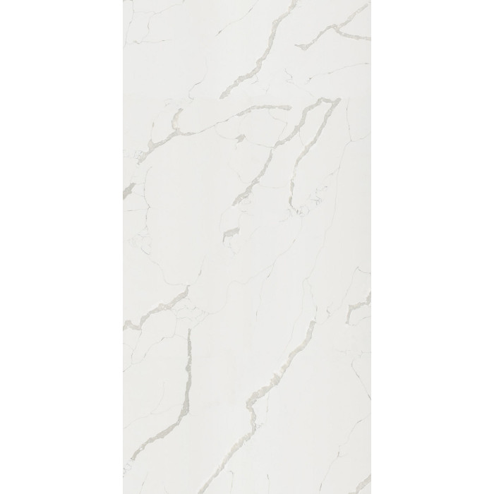 #22432 rocko_wall-R101-pion_Statuario_R101_PT