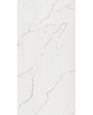 #22432 rocko_wall-R101-pion_Statuario_R101_PT
